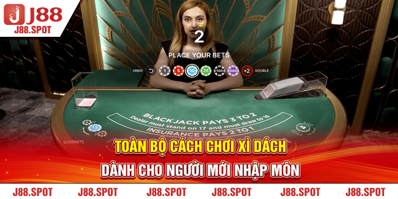 Toàn bộ cách chơi xì dách dành cho người mới nhập môn