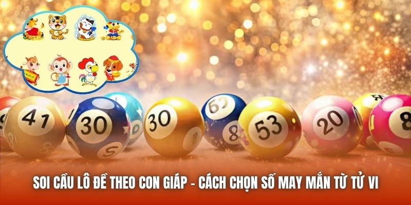 Soi Cầu Lô Đề Theo Con Giáp - Cách Chọn Số May Mắn Từ Tử Vi